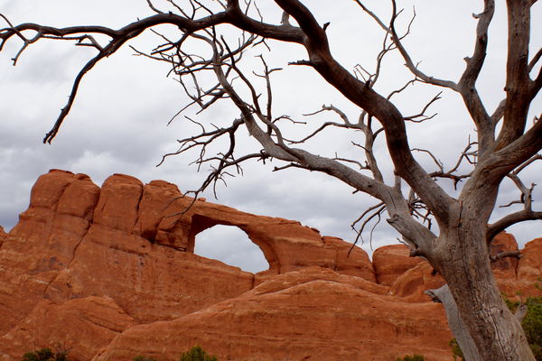 another from Arches NP...