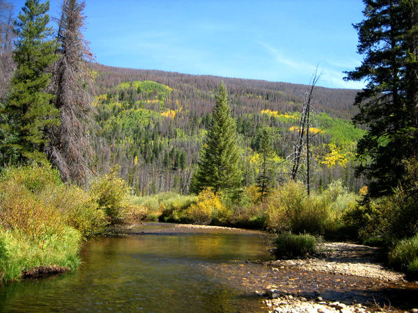 Headwaters of Williams Fork River...
