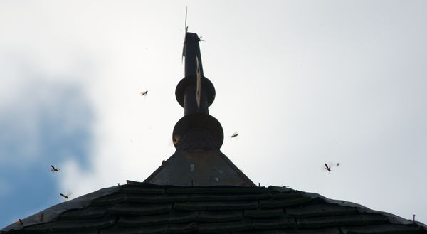 Wasps or hornets a buzzin' on the old steeple....