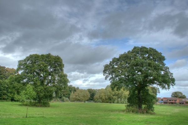 A Walk in Apley Woods: A pleasant walk in Apley Woods to see the ...