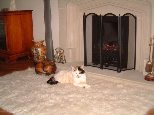 She loved sitting by the fire - ideal domestic set...