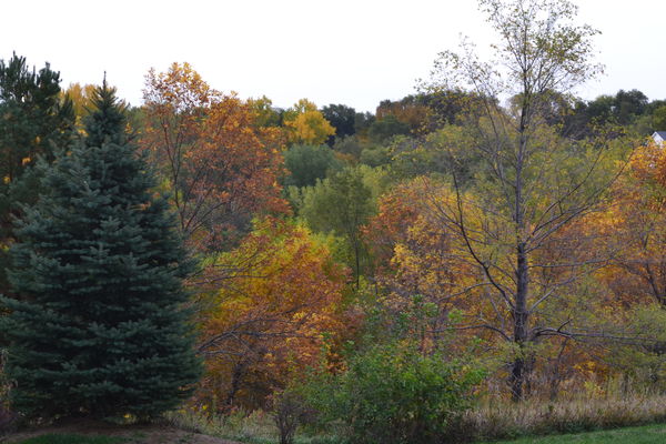 view from my daughters front porch - yep fall is h...
