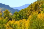 Autumn in Colorado's High Country - September 2012...