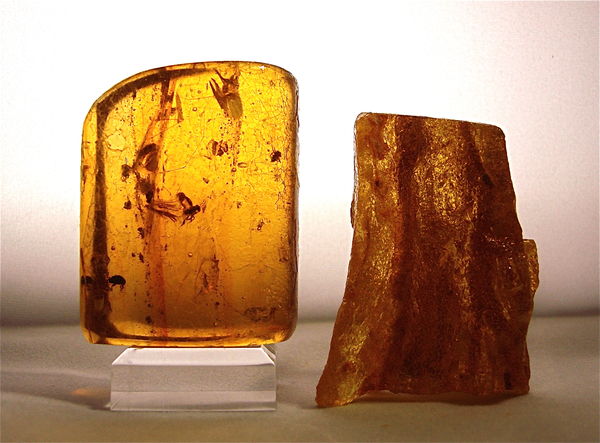 Here's some Baltic Amber rough and polished with b...
