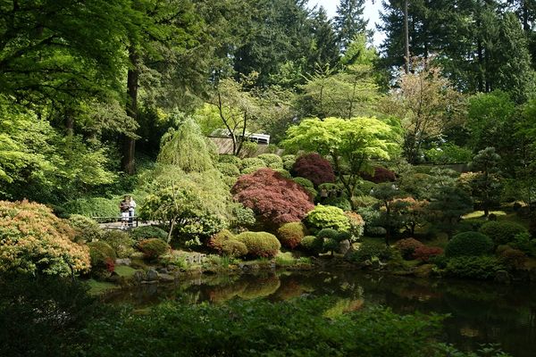 Japanese Garden...
