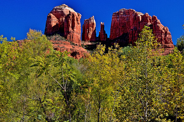 Fall in the Red Rocks...