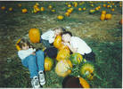 childrens pumpkin patch dreams...