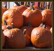 Hum... Which one do I want to take home and carve?...