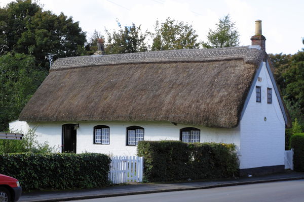 the village has a lot of thatch house...