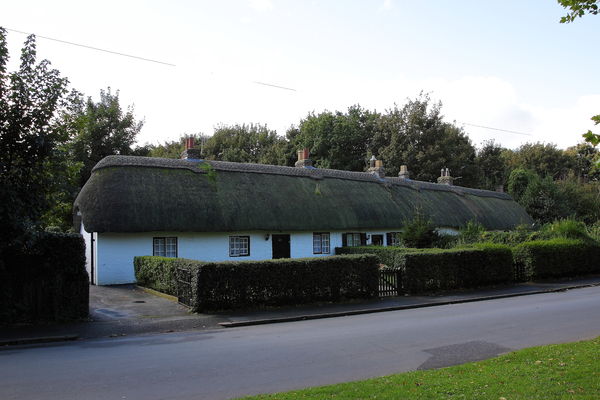 a row of thatch house 's...