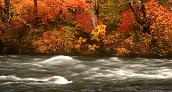 McKenzie river and fall colors...