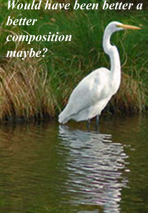 Think on composition!...