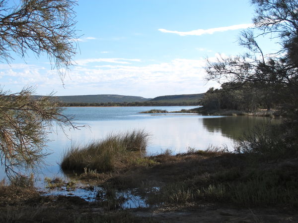 Murchison River, Kalbarri, Western Australia...