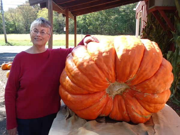 One BIG pumpkin!...