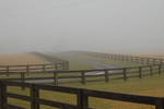 a foggy morning fence line in louisa, virginia...