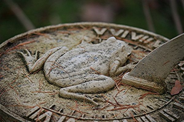 a not so sunny frog on our sun dial...