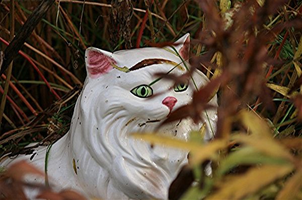 a ceramic cat  among the grasses in my garden...
