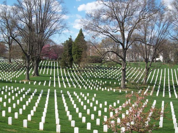Lest we forget  ....  Arlington National Cemetery...