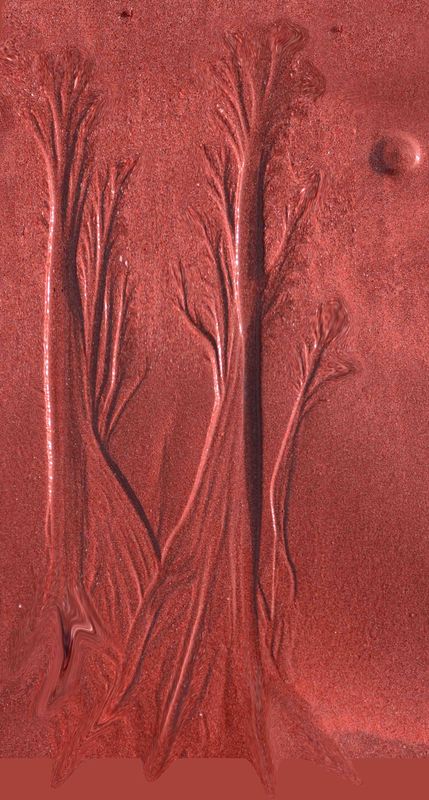 Red Sand Tree...
