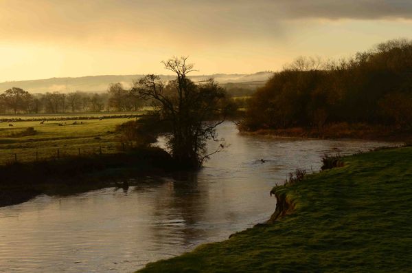 Early morning - River Taw...