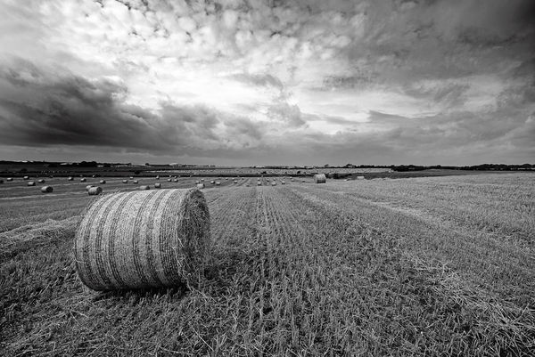 hay field...