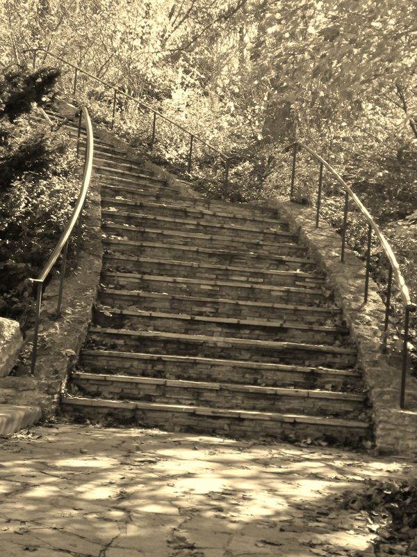 Stairs at Elmwood Park...