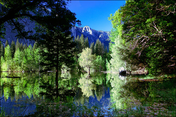 Yosemite Reflections...