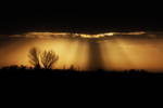 Nature's Night Lights - Thanks to Mother Nature fo...