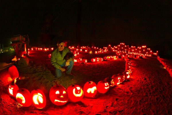 this man goes out ,harvests pumkins 60 miles away,...