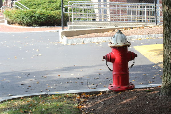 Fire hydrant...