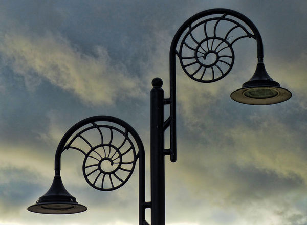 Street lights depicting ammonite fossils found in ...