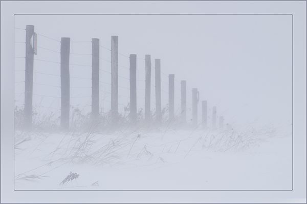 This was shot during a blizzard at the crest of a ...
