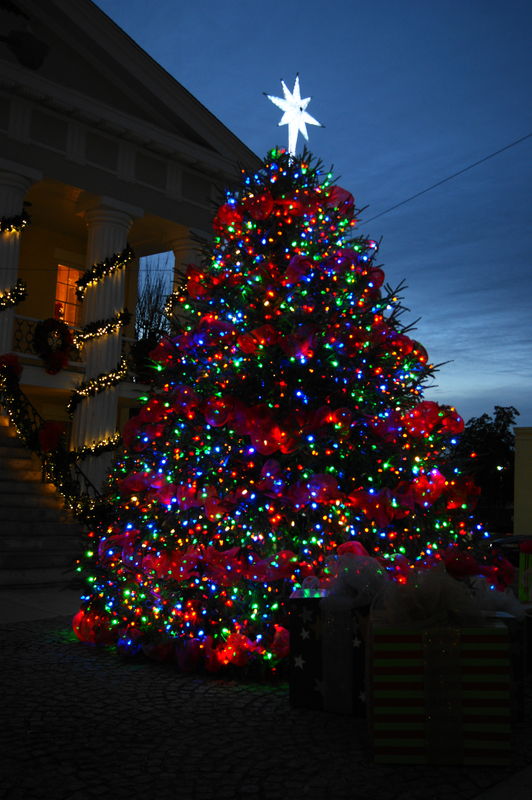 Christmas tree in front of the Old Courthouse in N...