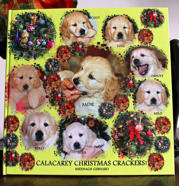 Calacarey Christmas Crackers...