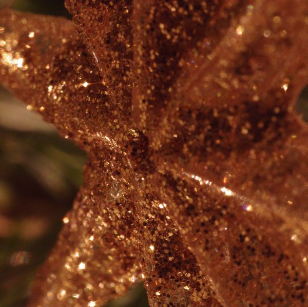 Christmas Tree star...