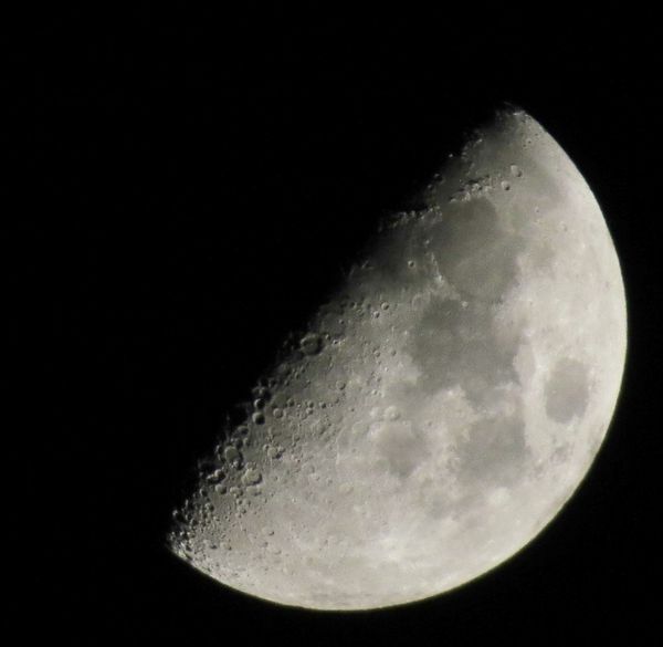 From the SX50 at 1200mm...