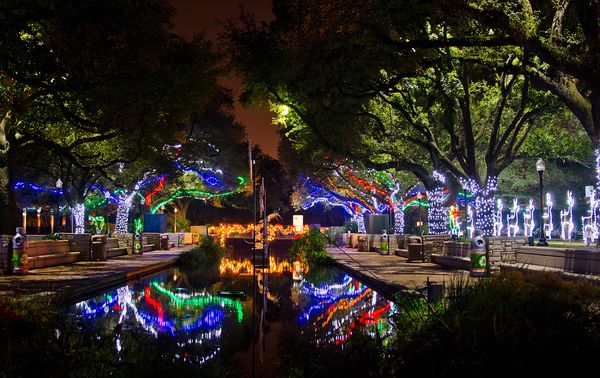 Reflections - Houston Zoo Lights...