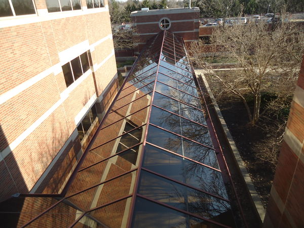 View of glass roof covering walkway with reflectio...