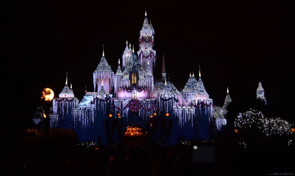 Disney Castle during Fireworks...