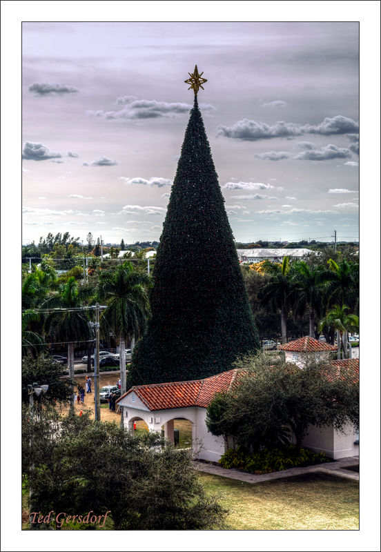 Delray's Giant Christmas Tree...