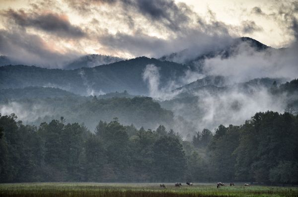 This is why the Great Smoky National Park is calle...
