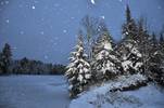 Snow Fall in the Adirondack Mts....
