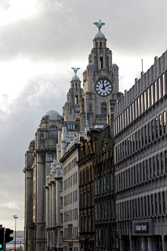 liver buildings looking form town hall...