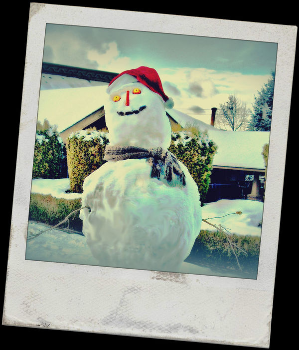 Polaroid Snowguy!...