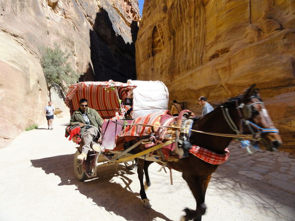 One means of transportation to Petra...