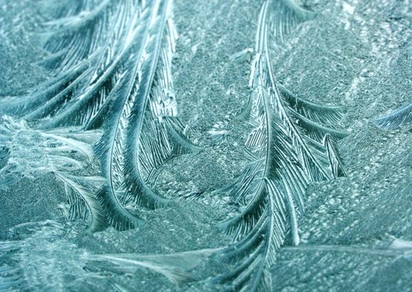 frost on my car windshield...