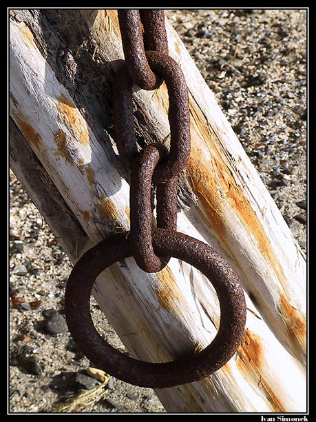 A boom chain (used to make log rafts)....
