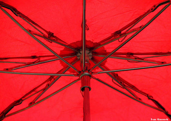 A red umbrella from the inside....