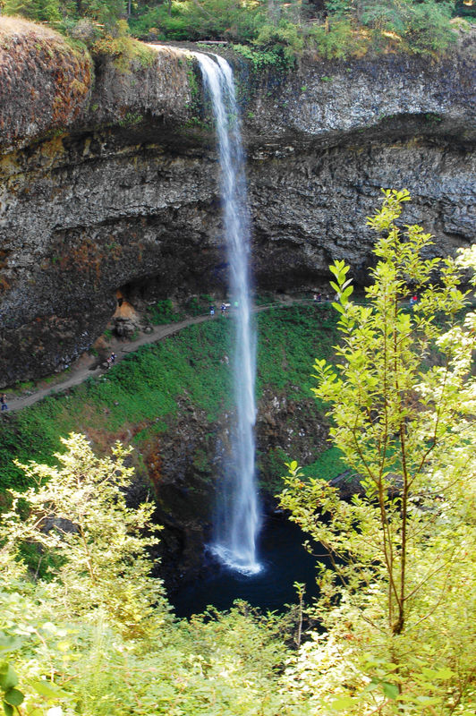 One of several waterfall's in Silver Falls State P...