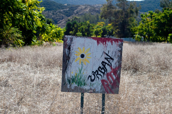 This sign was in an open field and appeared in a s...